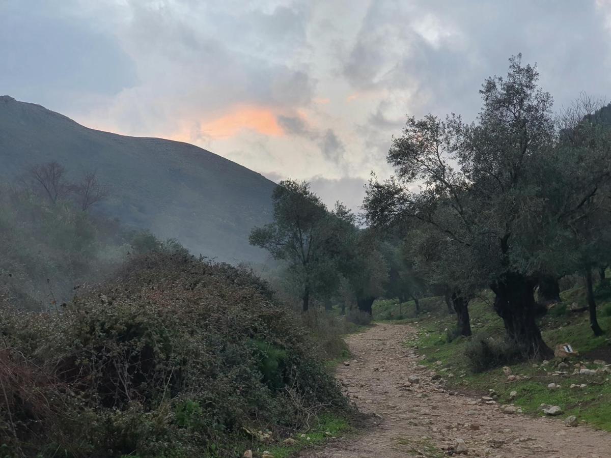 הפינה שלה -Hapina Shella ראש פינה העתיקה Villa Bagian luar foto